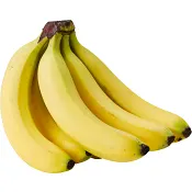 Fruktpåse Banan Ekologisk 5kg