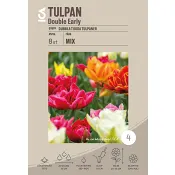 Tulpan Double Early Mix 10-p ICA Garden