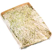 Alfalfagroddar Ekologiska 130g KRAV Klass 1