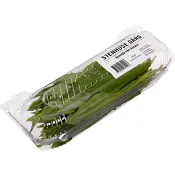 Ramslök i ask 50g Klass 1