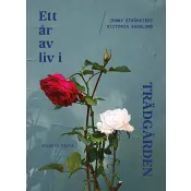 Ett år av liv i trädgården