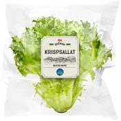 Krispsallat 150 Gram Klass 1 ICA