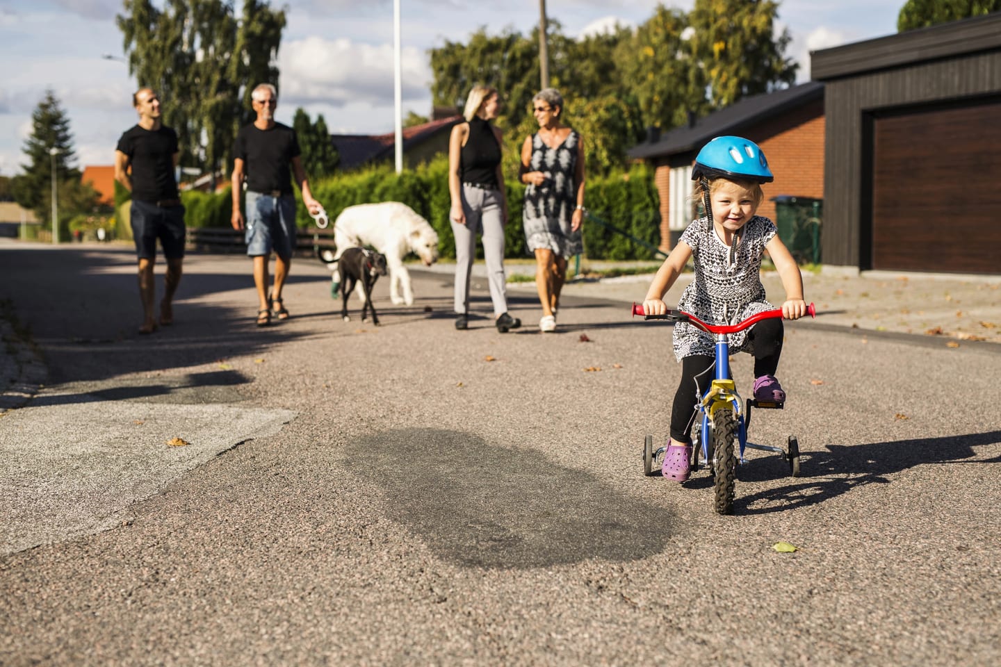 Två äldre personer, två medelålders och två hundar går längst gatan. Längst fram cyklar ett barn.