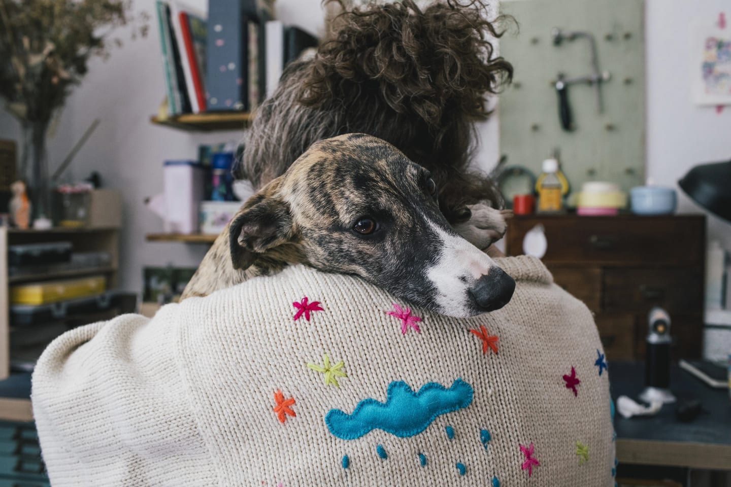 Kvinna sitter med ryggen mot kameran och kramar sin hund som vilar huvudet på hennes axel.