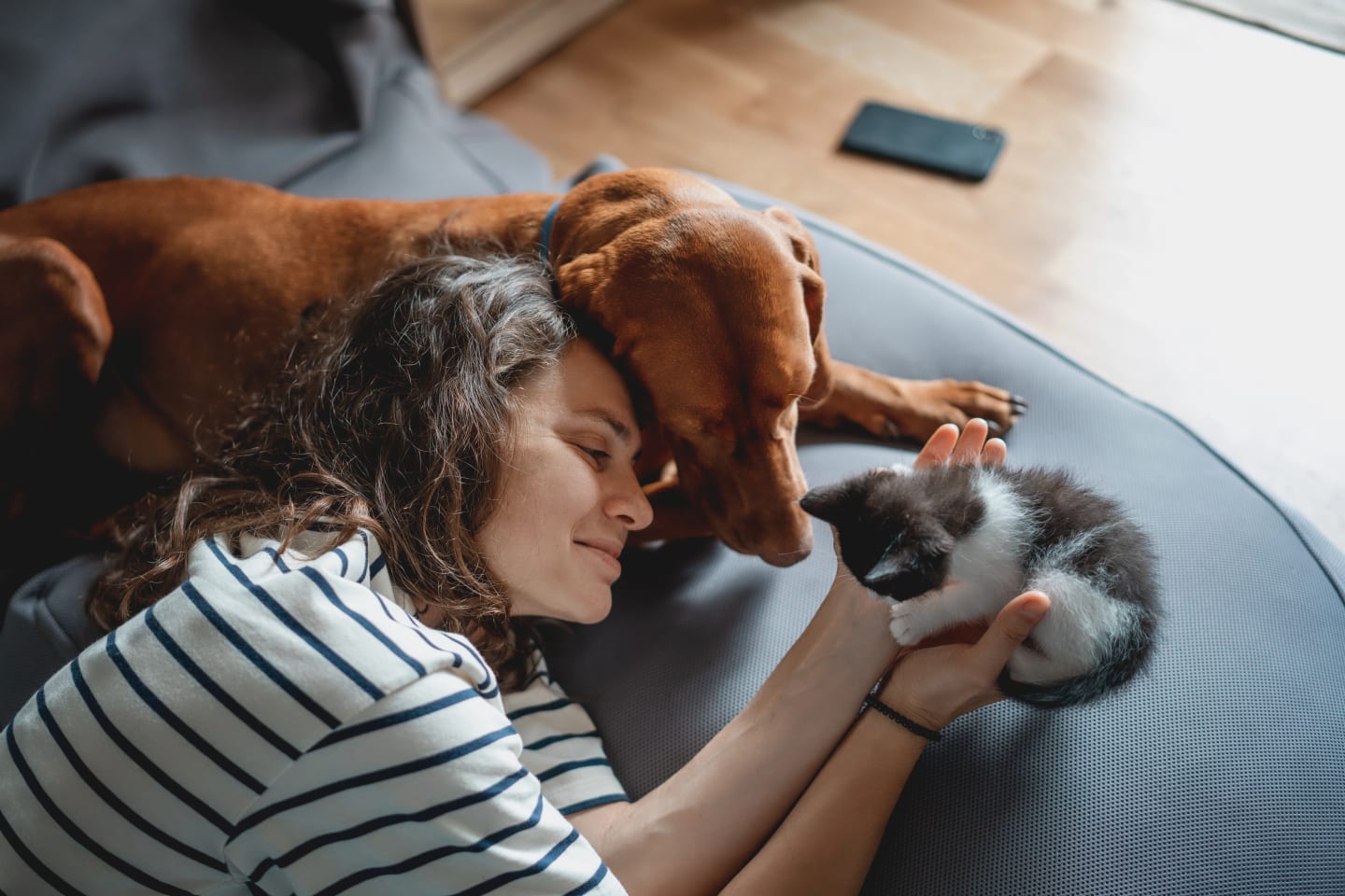 Kvinna ligger i soffan med sin hund bredvid och en kattunge i händerna och ler.