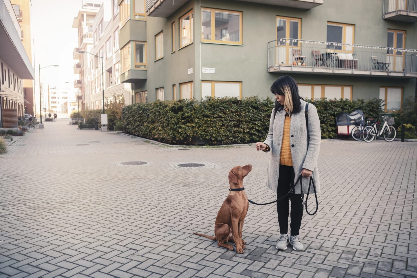 Kvinna står vid lägenhetshus och tittar på sin hund som sitter och tittar upp på henne.