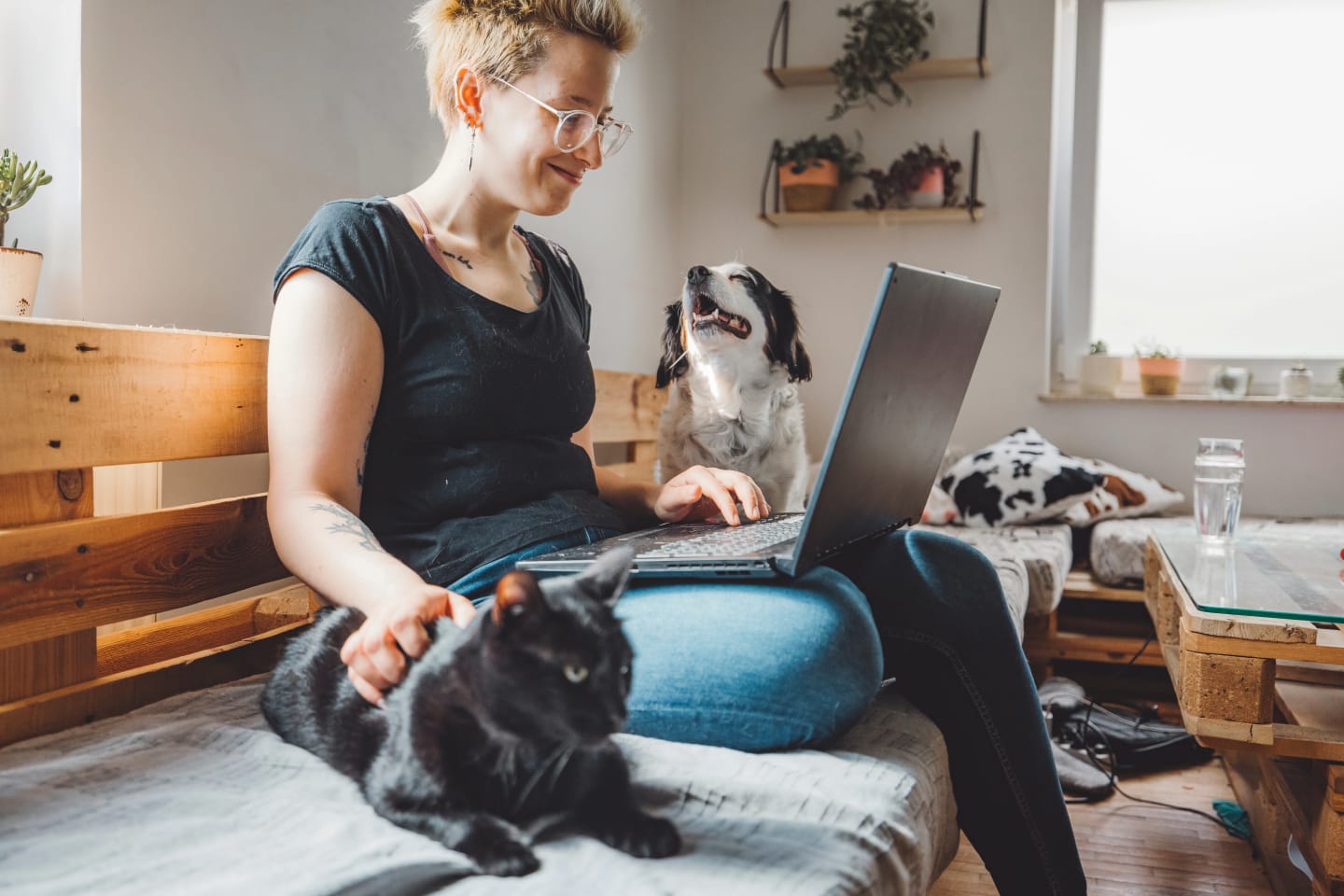 Ung, glad kvinna med en laptop i en kökssoffa omgiven av en hund och en katt