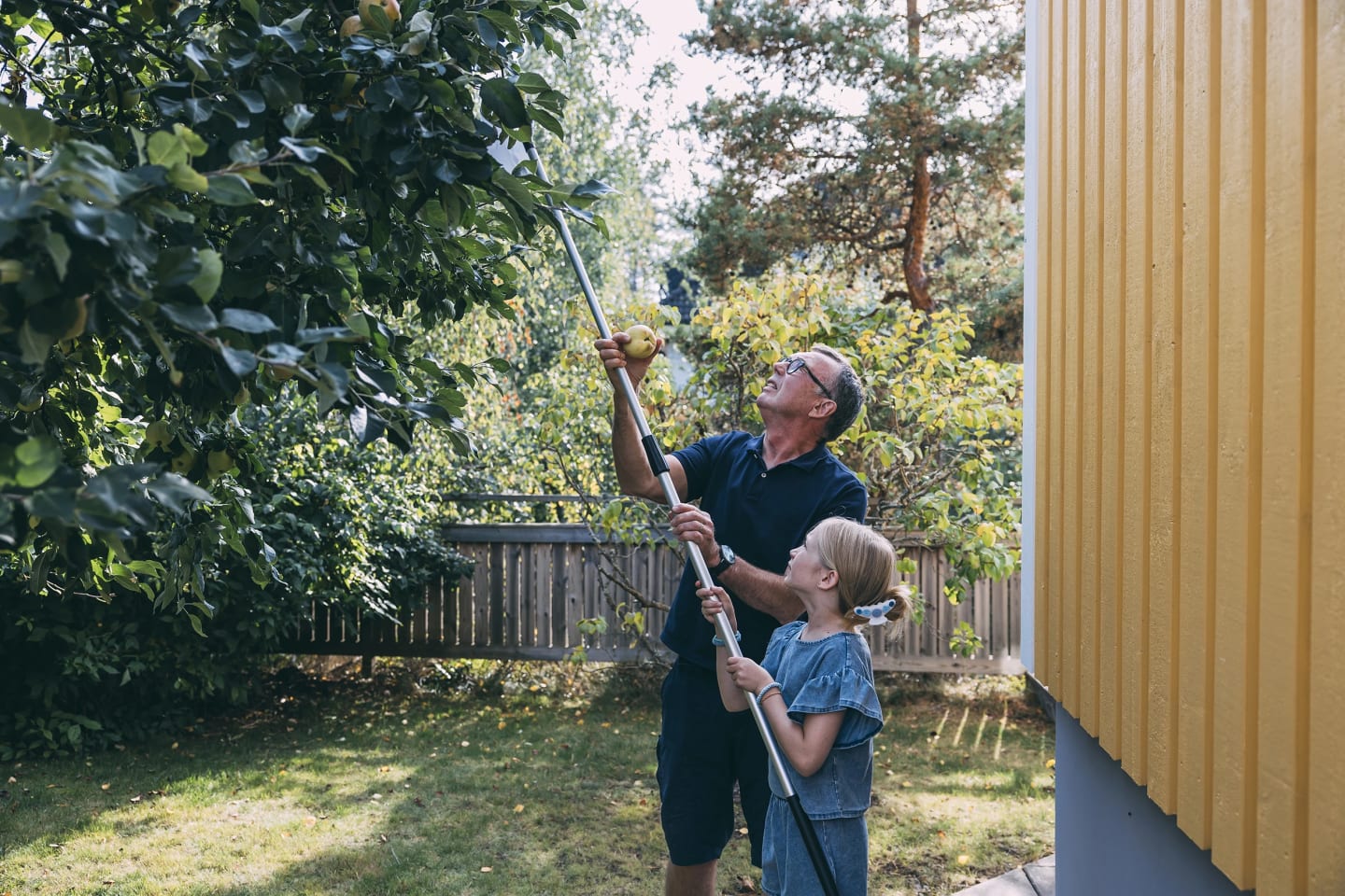En äldre man står i trädgården med en fruktplockare och försöker få ner äpplen. Bredvid sig står hans barnbarn och hjälper till.