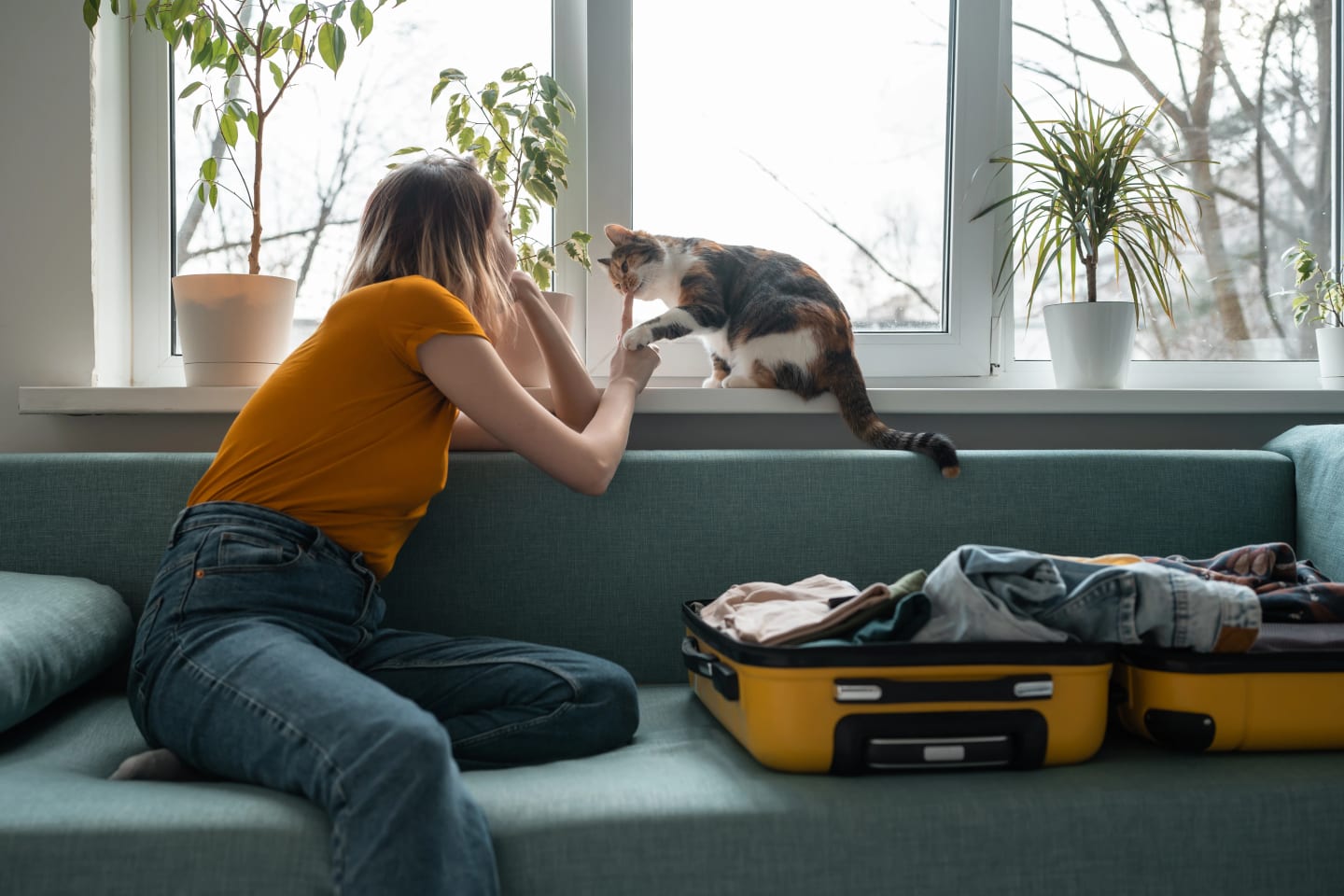 Katt som sitter i ett fönster brevid sin matte. Katten nosar på sin mattes finger och lägger en mjuk tass på hennes hand