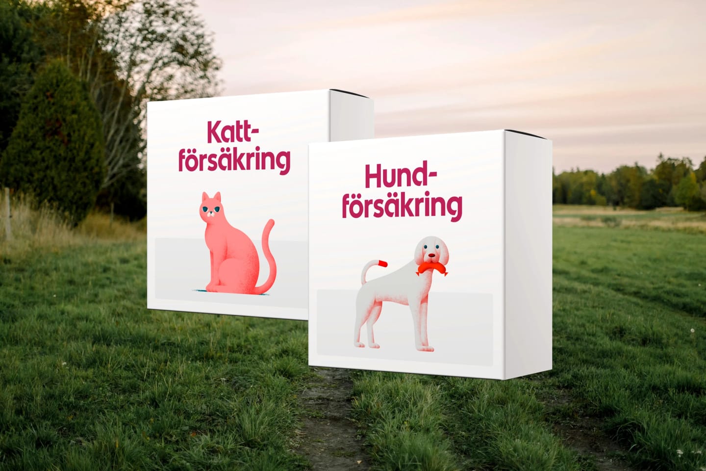 ICA Försäkrings försäkringsboxar som innehåller en katt och en hund.