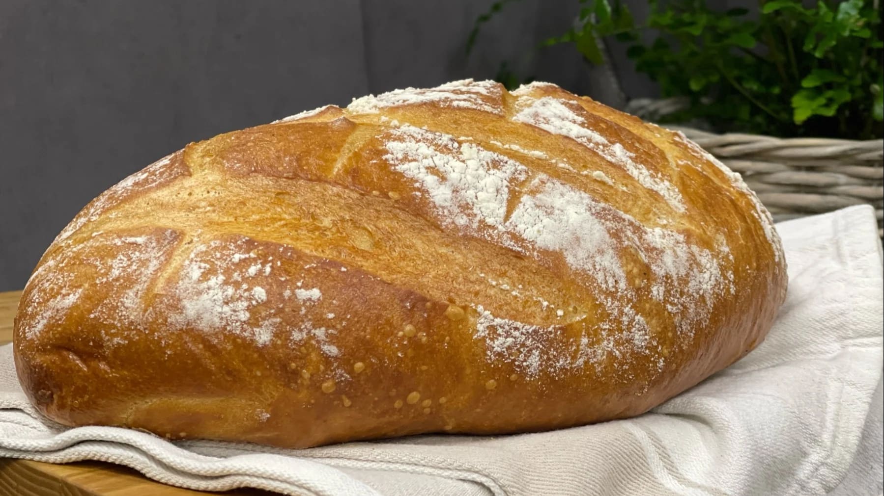 Bröd