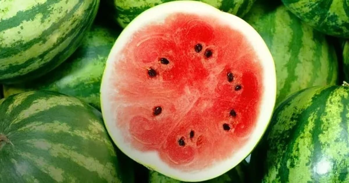 Vattenmelon - så skär du bäst! | ICA