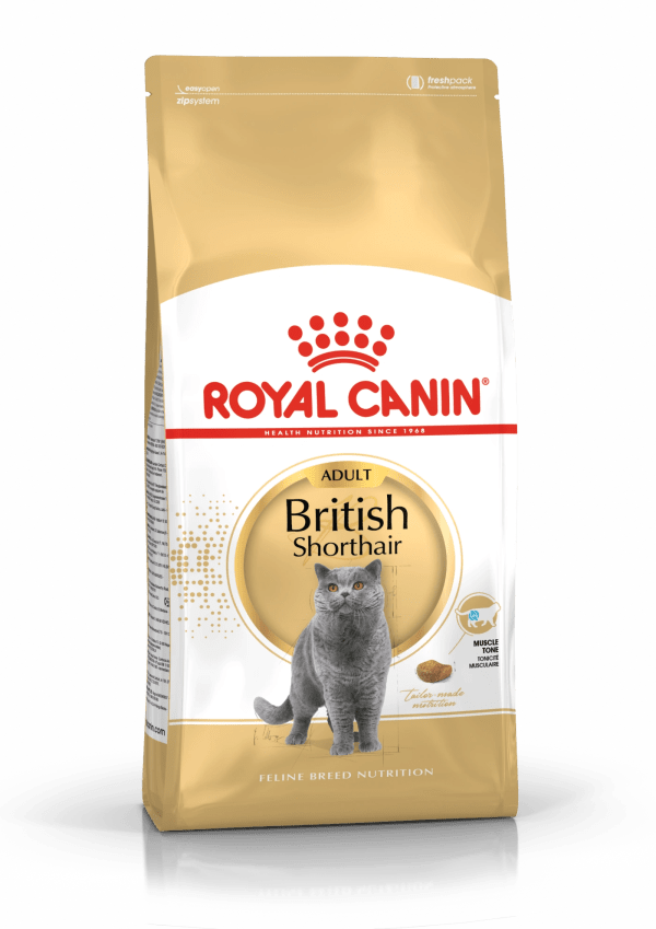 Royal Canin British Shorthair Adult 2 kg