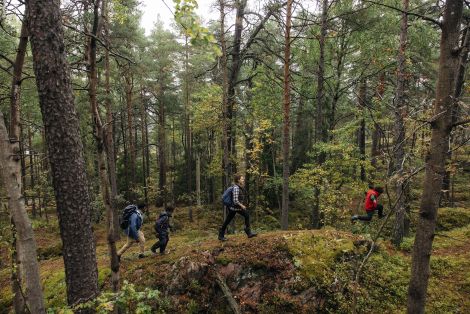 Familj som går i skogen