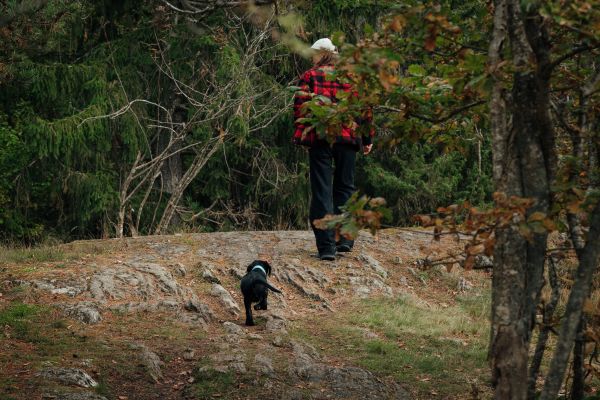 Kvinna och hundvalp går på en klipphäll i skogen