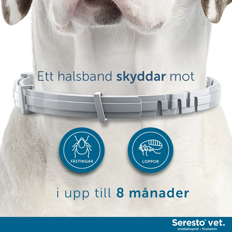 Seresto halsband för hund över kg Apotek Hjärtat