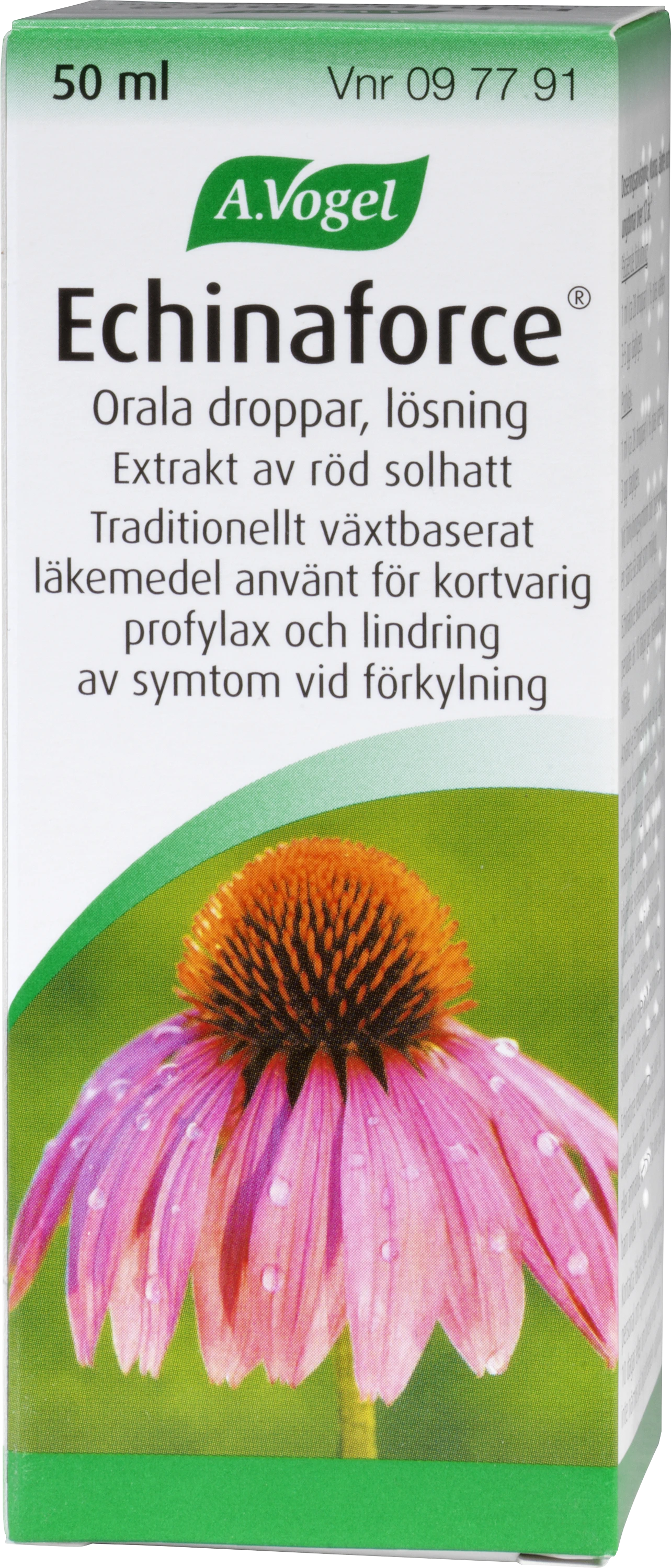 Echinaforce Orala Droppar 50 ml - Förebygga & lindra förkylning