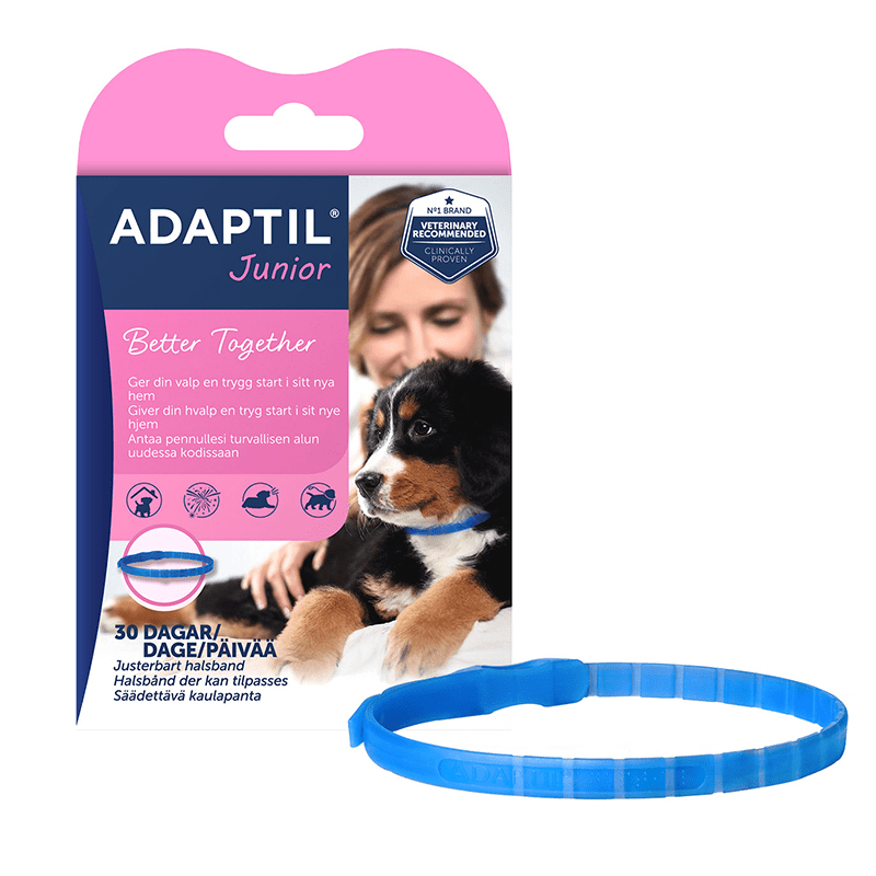 Adaptil Junior Valphalsband 37,5 cm - Rädsla & oro hos hund