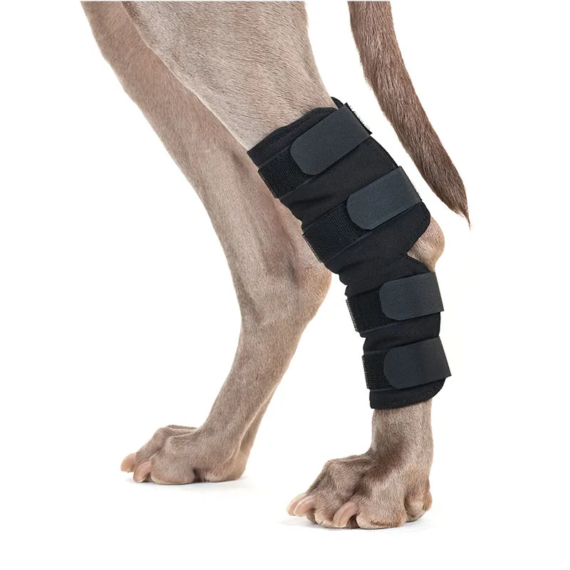 Back on Track Hundhasskydd 2 st M - Hund