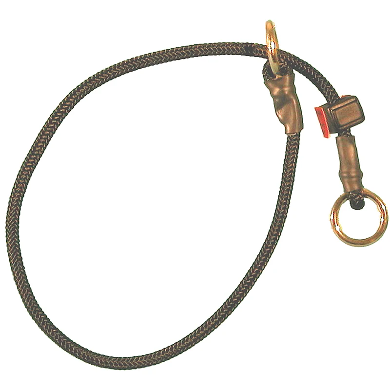 Strongline Helstryp Flexibel Svart M 6 mm/45 cm - Hundhalsband