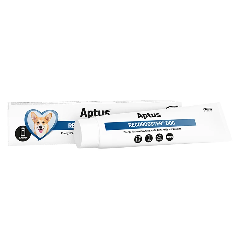 Aptus Recobooster Dog 100 g - Hundfoder & fodertillskott