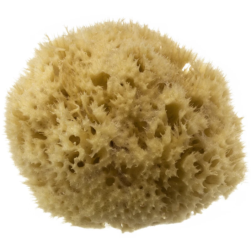 Hydrea London Honeycomb Sea Sponge - Badborstar & badsvampar