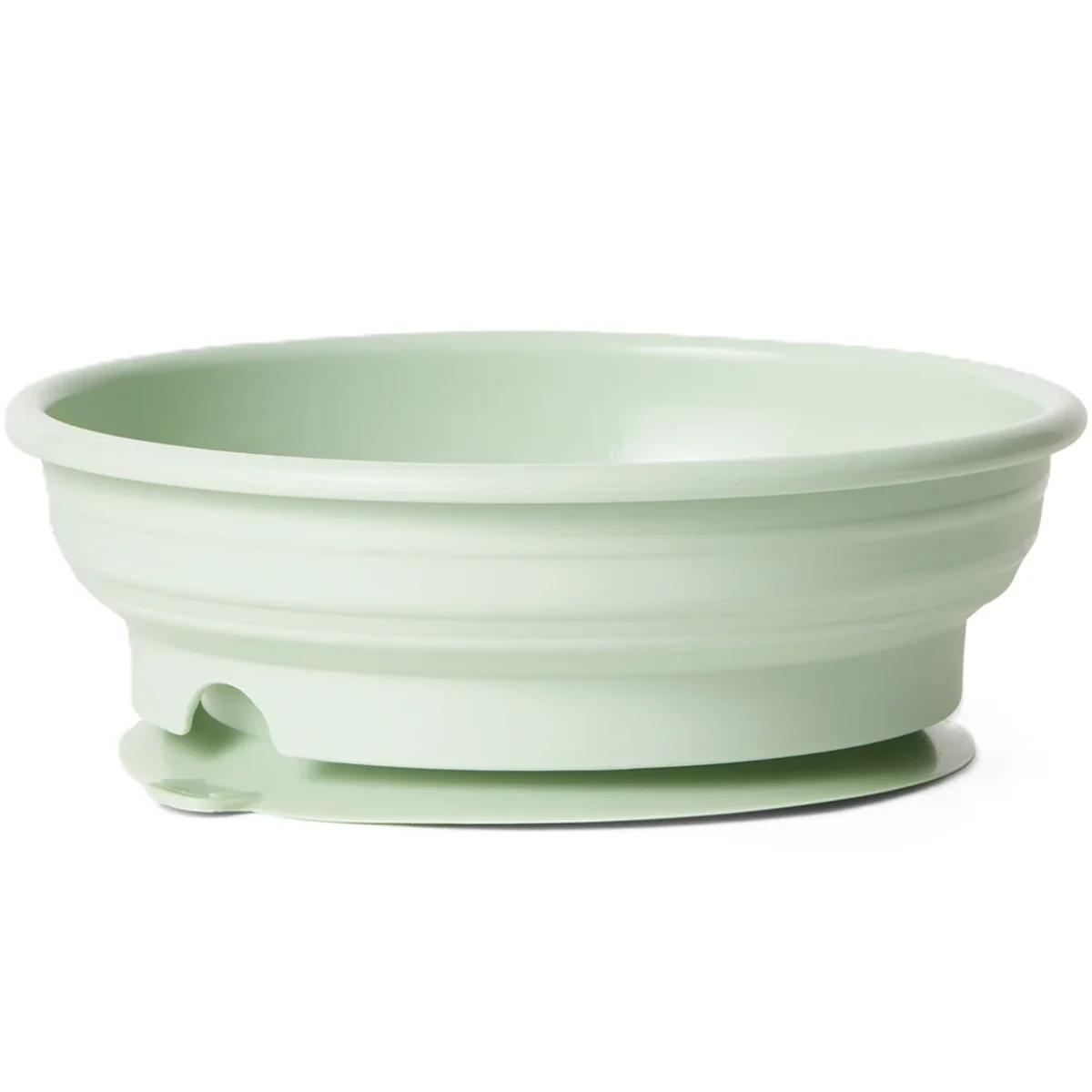 Bambino Stay Put! Suction bowl