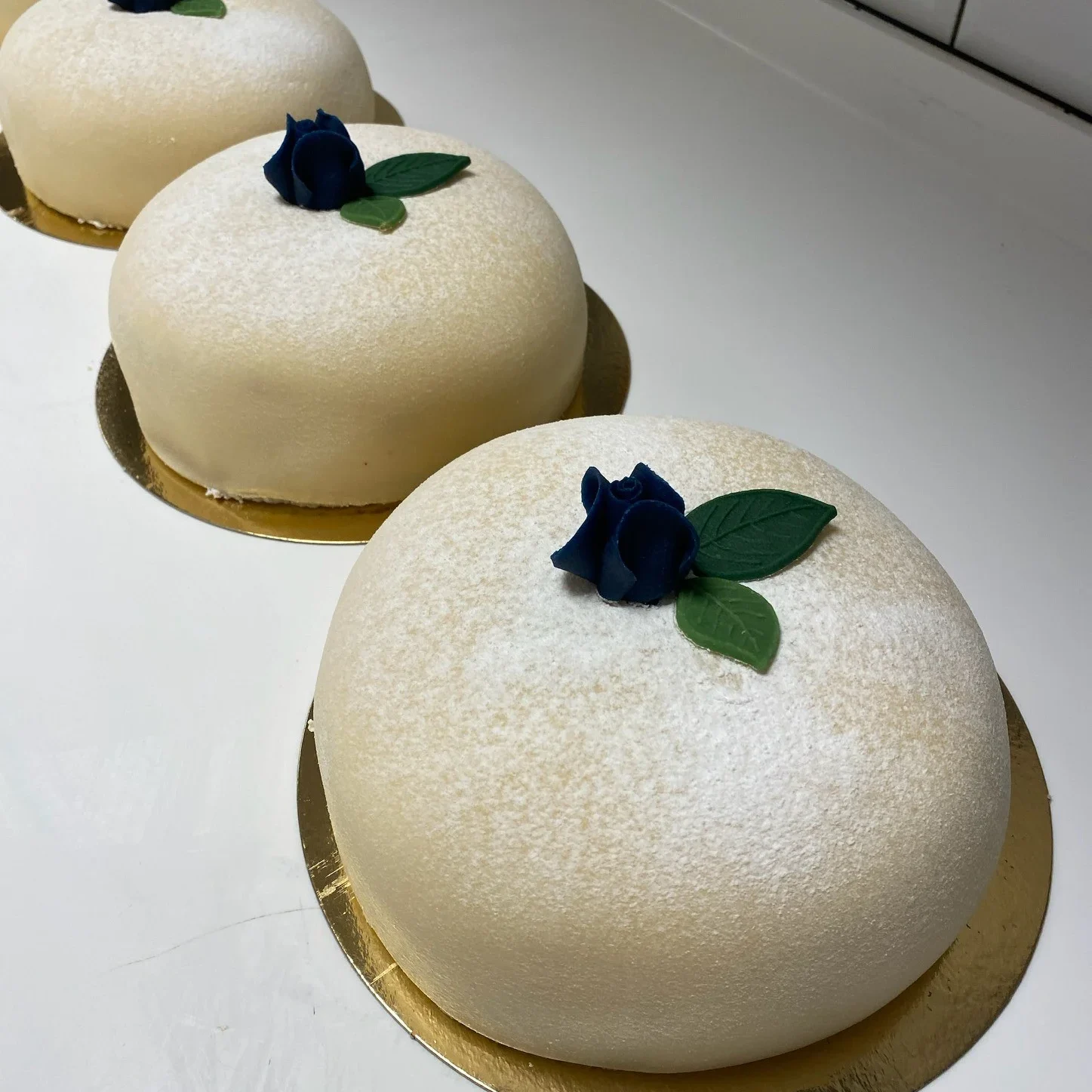 Blåbärsprinsess