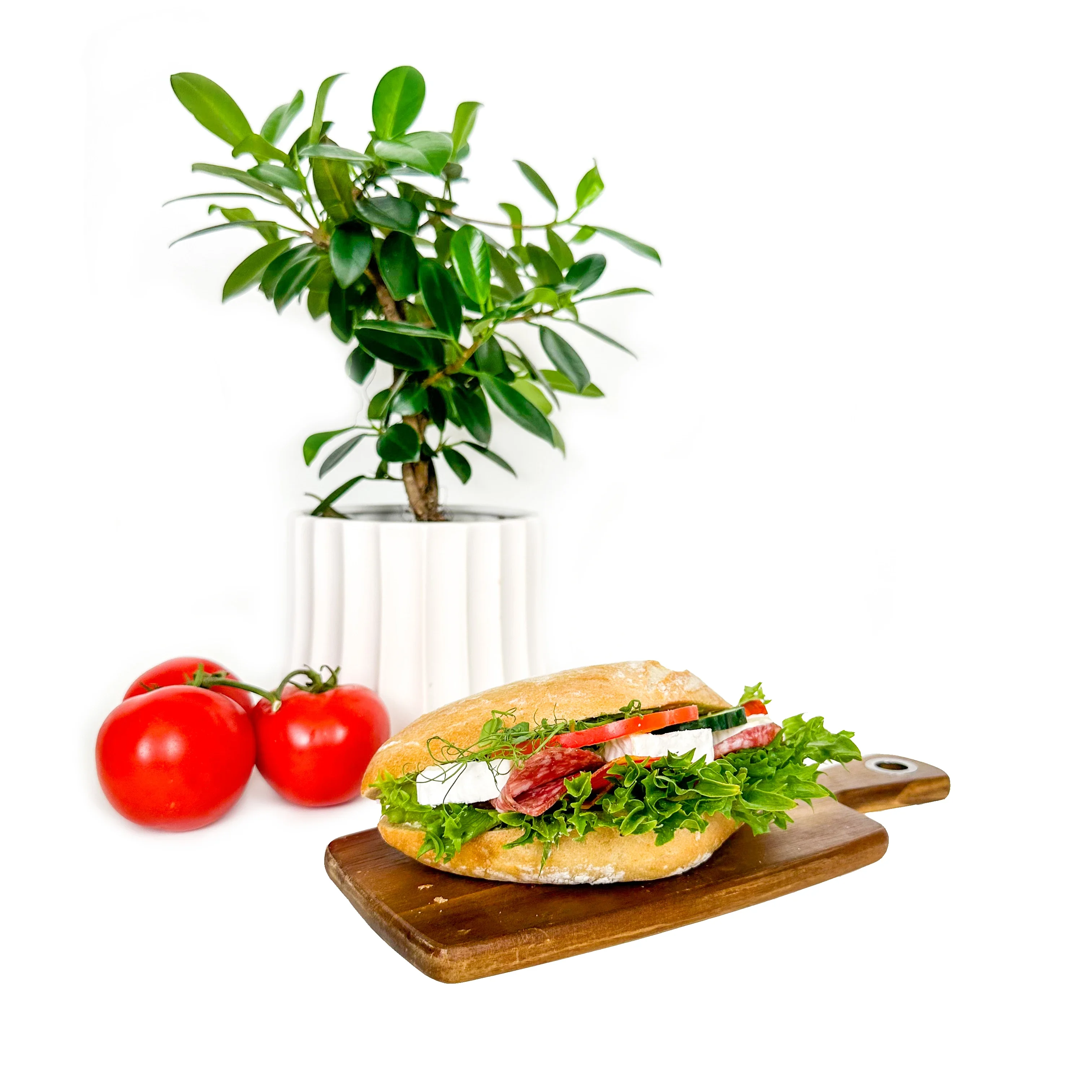 Ciabatta med Brie/Salami