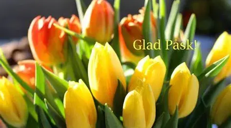 Passa på att njuta av påskens delikatesser.