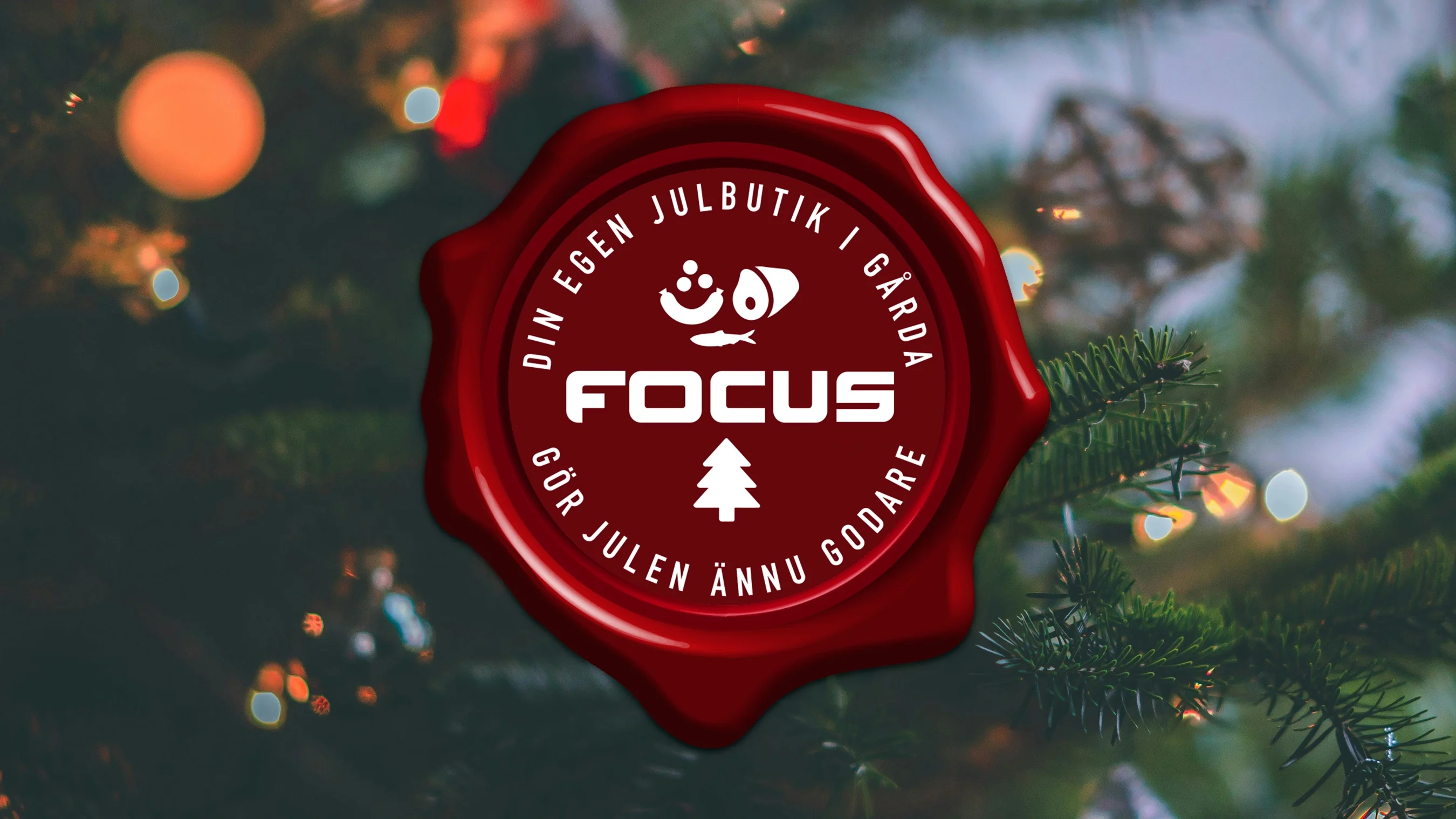 Focus logotyp i rött vaxsigill. Julgran med dekoration i bakgrunden.