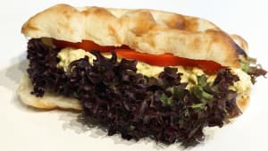 Smörgås med schiacciata bröd & kycklingröra