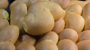 Storpack Lussekatt 50st