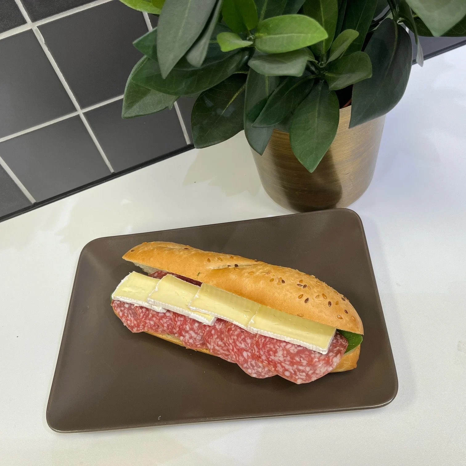Sub Salami/Brie