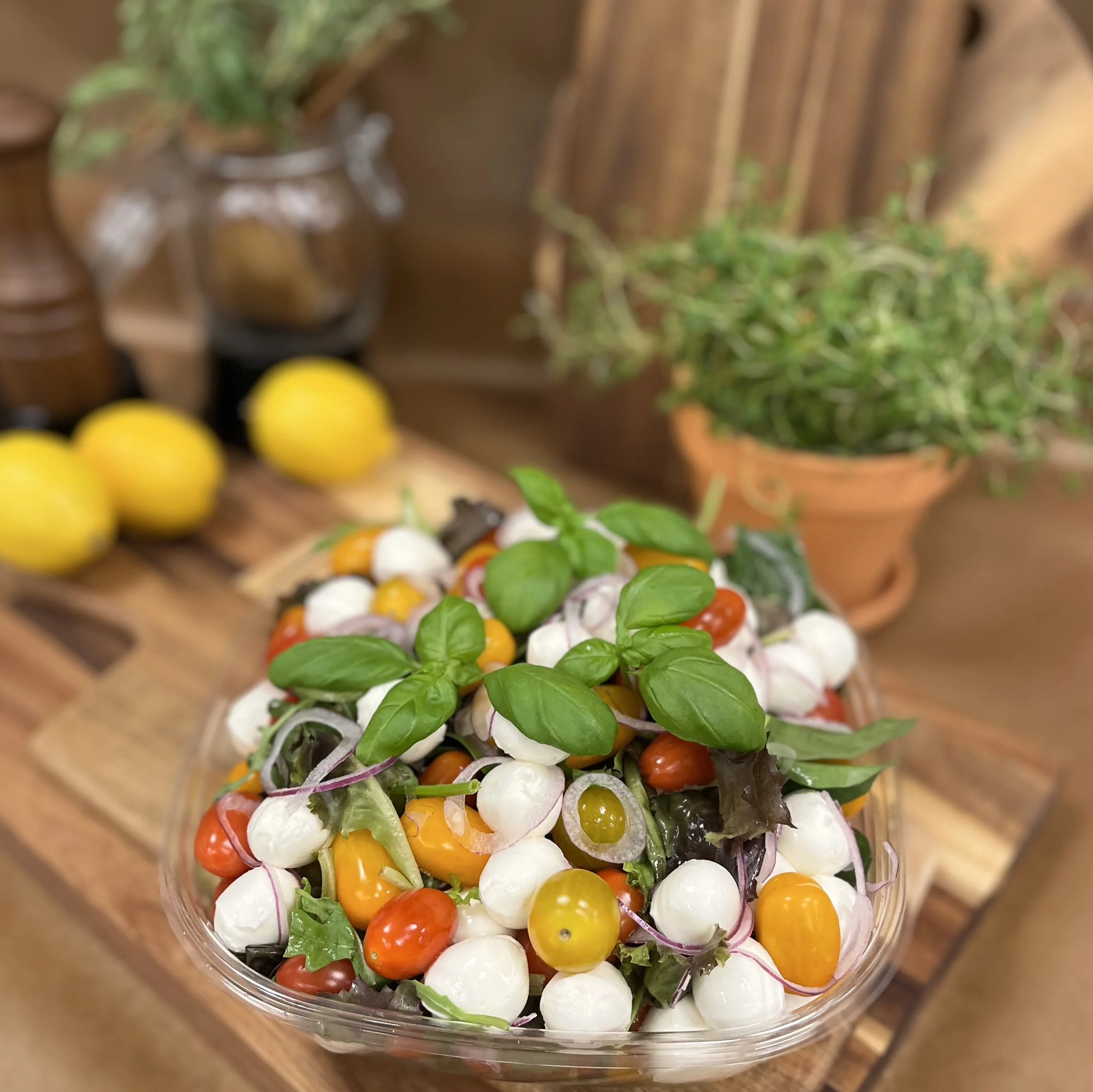 Tomat & mozzarellasallad