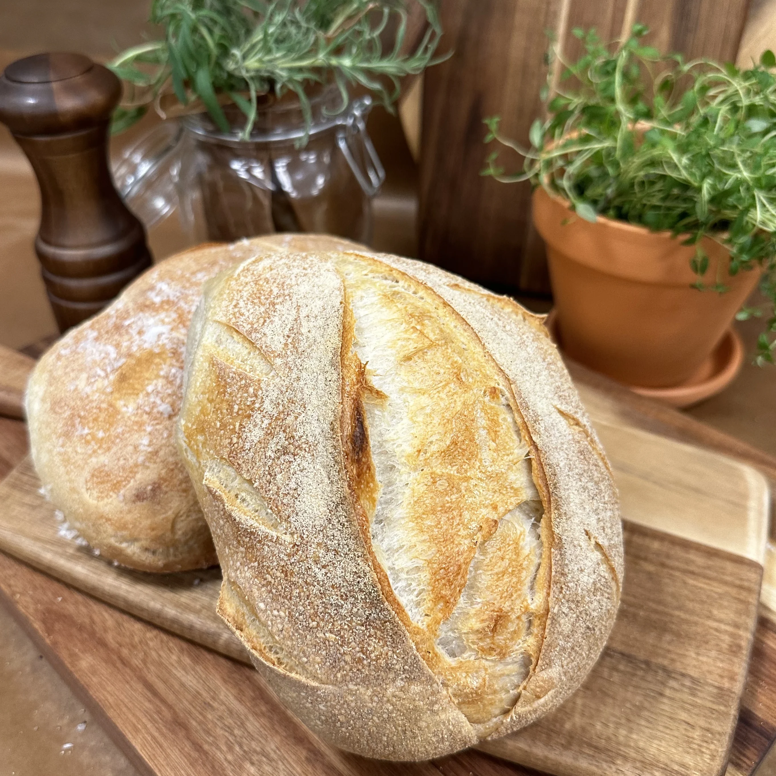 Levain
