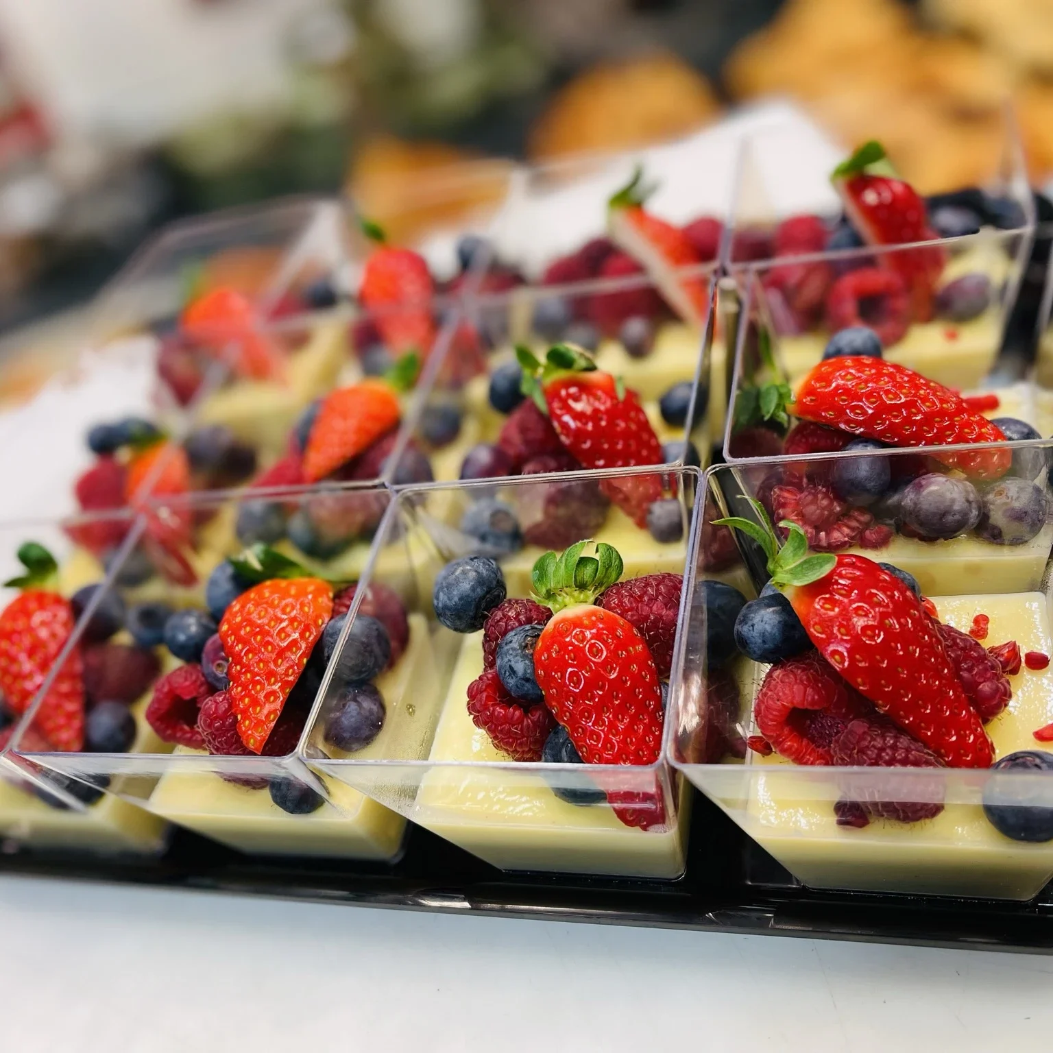 Panacotta