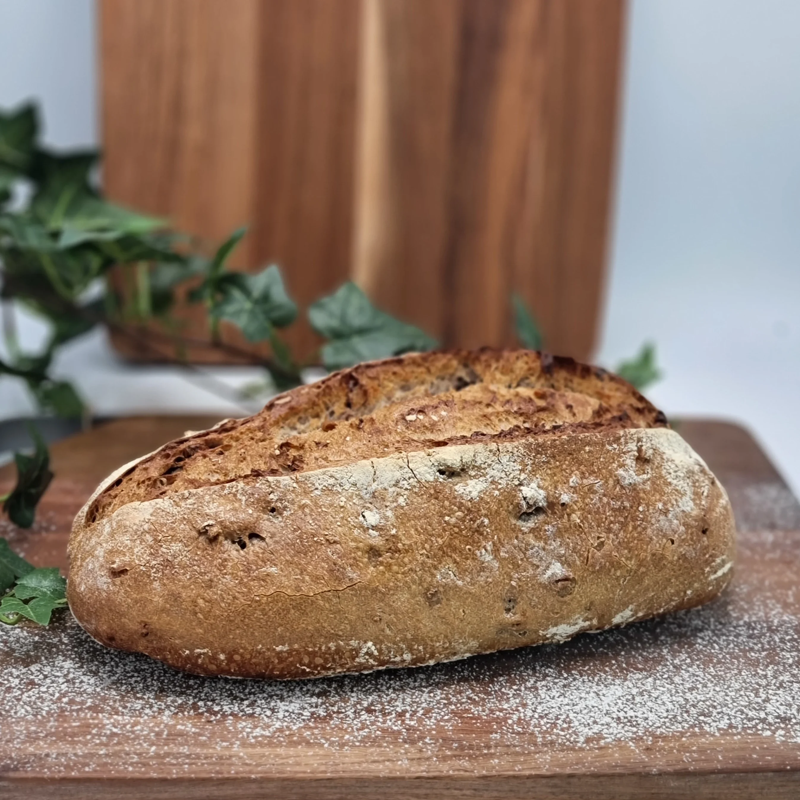 Levain med valnötter