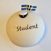Ljus marsipantårta med text och flaggor