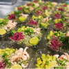 Sallad Tabboule