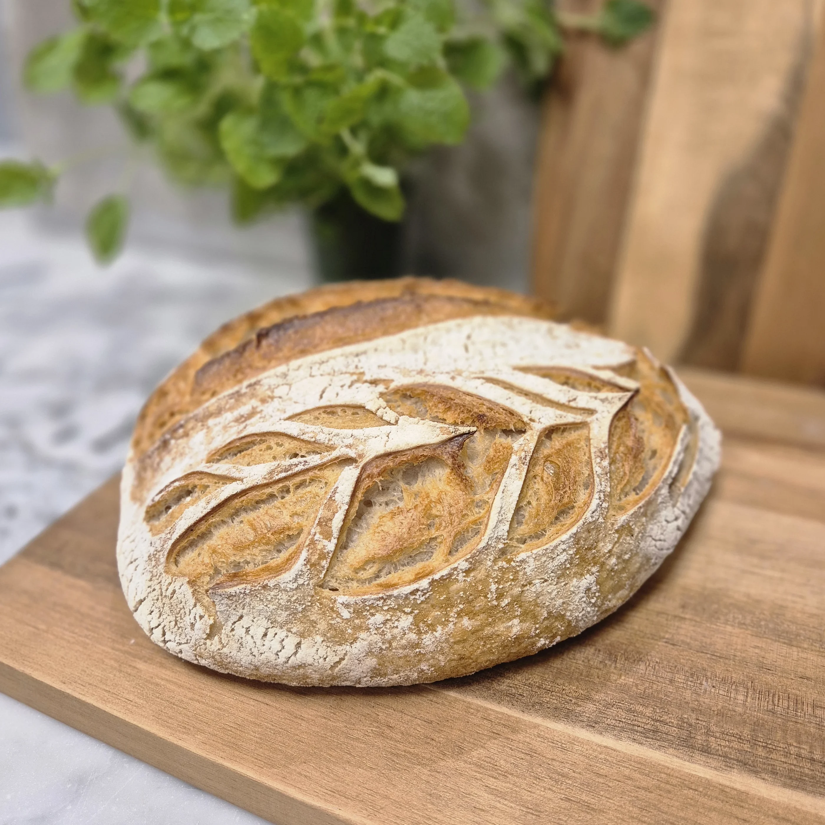 Levain