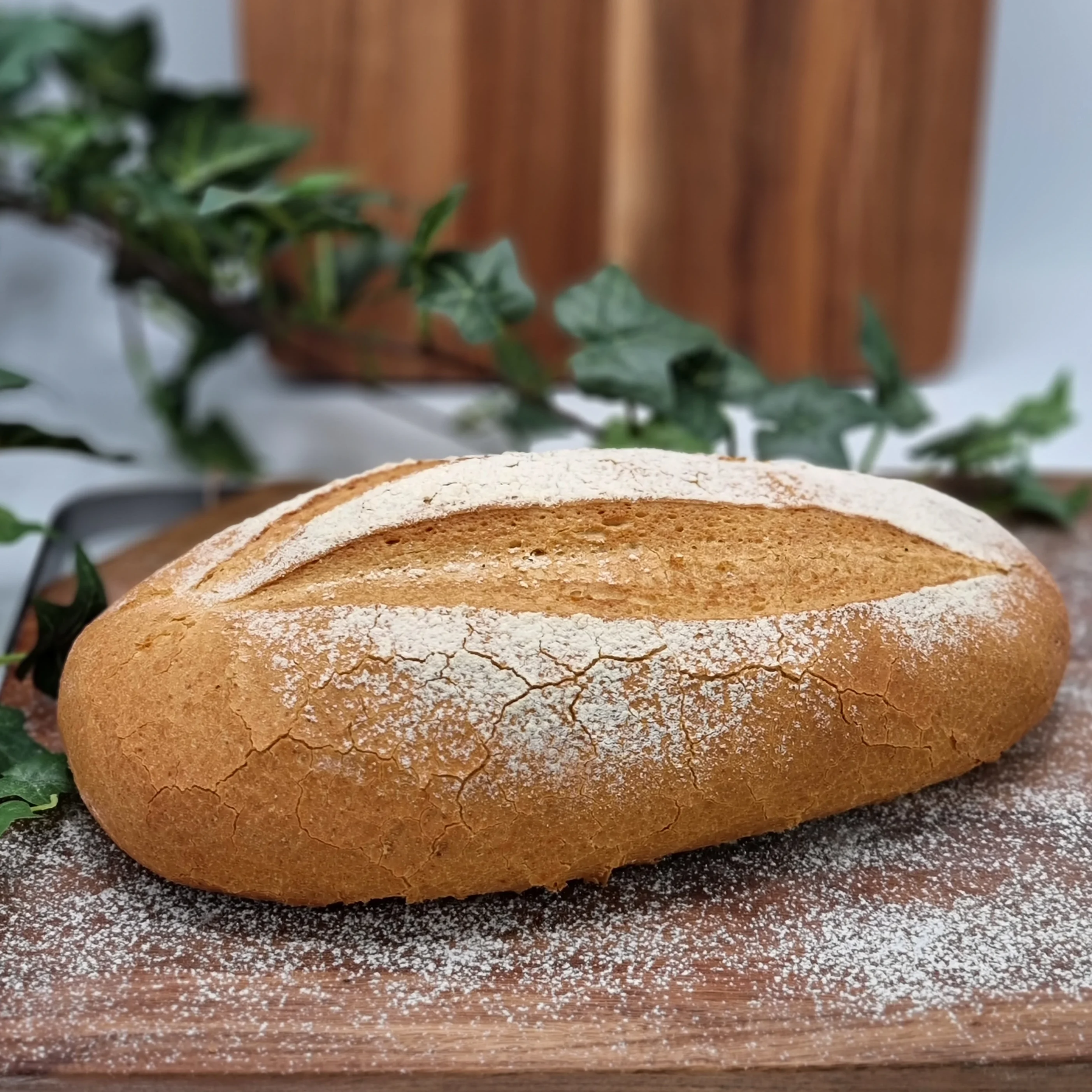 Italiensk lantbröd