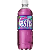 Fruktdryck Blueberry Pear 50cl Festis.