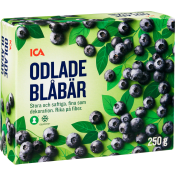 Stora blåbär Fryst 250g ICA.