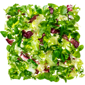 Sallad FS Provence 500g Greenest.