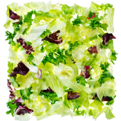 Family Mix 1kg Greenest.
