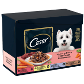 Hundmat Mix i sås 24-p 1200g Cesar.
