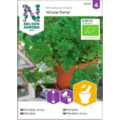 Persilja Mosskrusig Grüne Perle Organic Nelson Garden.