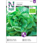 Sallat Huvud Matilda Organic 1-p Nelson Garden.