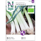 Purjolök Herfstreuzen 3 Organic 1-p Nelson Garden.
